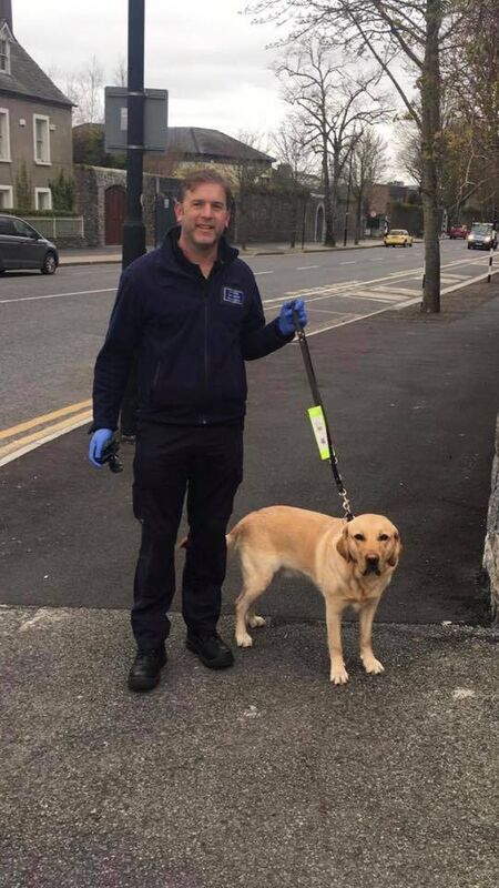 Tadhg regularly took guide dog Ace on walks around Kilkenny as part of his community policing.