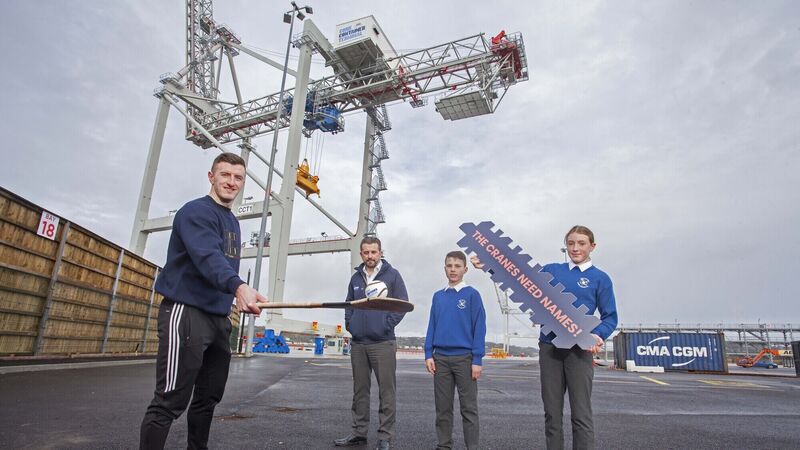 Port of Cork seeks names for its new cranes