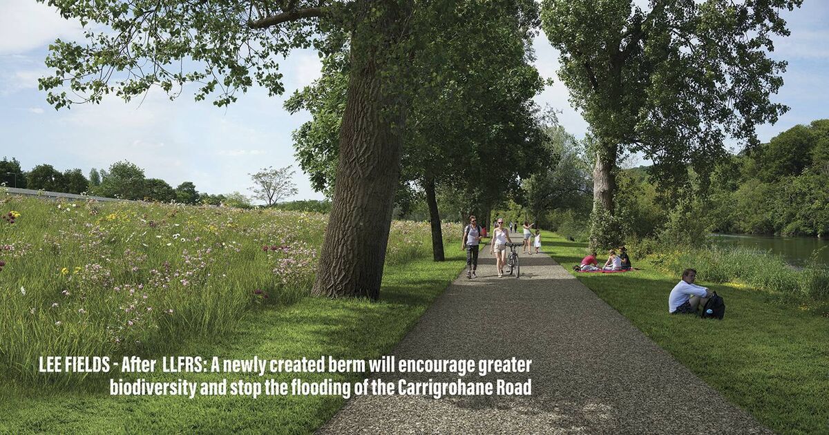 Lee Fields - After LLFRS: A newly created berm will encourage greater biodiversity and stop the flooding of the Carrigrohane Road