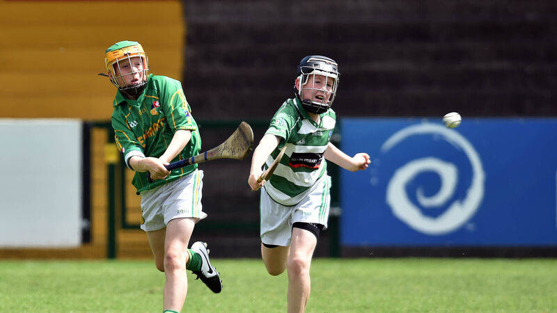 Sciath na Scol back in Cork: Details of the primary school GAA fixtures for 2022
