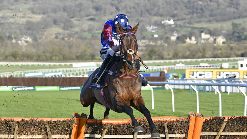 Barry Drake's Cheltenham tips: Paisley Park can land another big win Barry Drake's Cheltenham tips: Paisley Park can land another big win