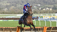 Barry Drake's Cheltenham tips: Paisley Park can land another big win