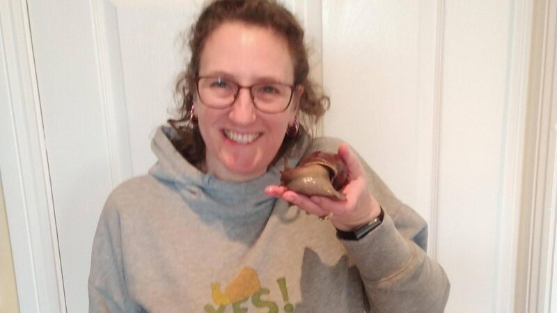 I found myself the perfect pandemic pet... a giant snail! I found myself the perfect pandemic pet... a giant snail!