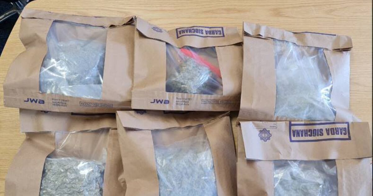 €65,000 worth of cannabis herb seized in Cork town - Vimarsana News