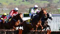 Paul Townend in top form at Cheltenham with wins on State Man and Vauban