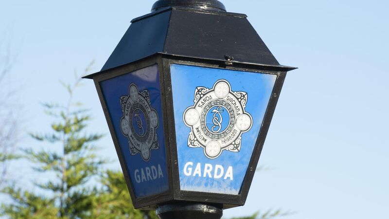 9 new gardaí to be allocated to South region