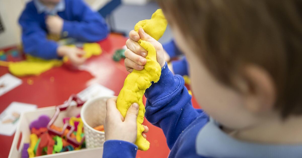 Cork special school selected for National Gallery initiative - Vimarsana News