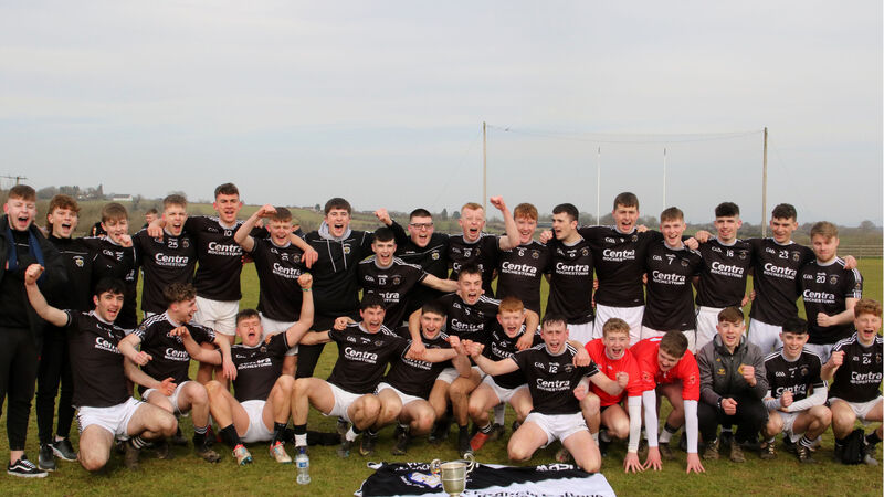 William Buckley and Conor O'Donovan fire Rochestown College to first All-Ireland hurling title