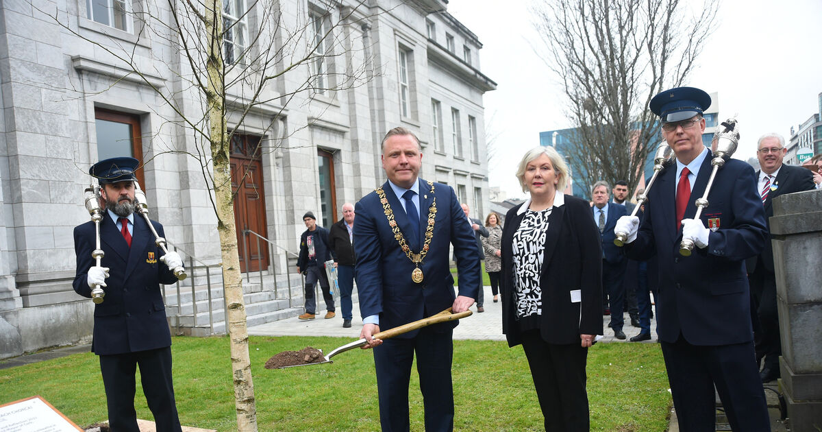 Those who lost their lives during pandemic remembered in moving ceremony at Cork City Hall - Vimarsana News