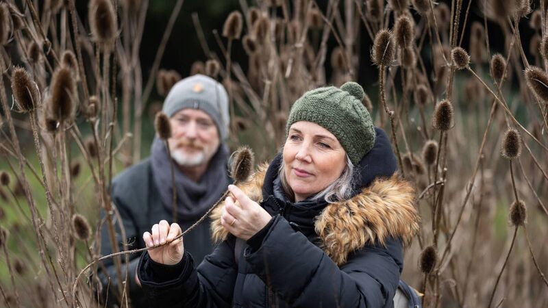 Call to design eco-lab for Cork city amenity Call to design eco-lab for Cork city amenity