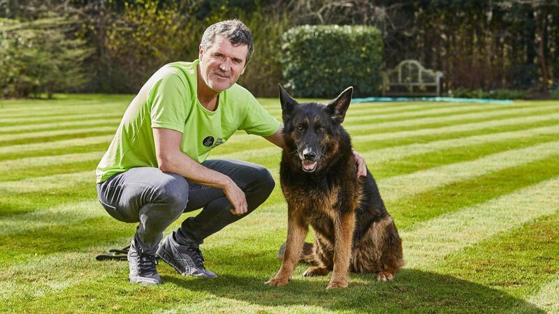 'Keen' to meet the new recruits: Cork's Roy Keane pops by local charity 'Keen' to meet the new recruits: Cork's Roy Keane pops by local charity