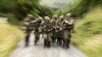 Irish people will resist EU reaction force, says Cork TD