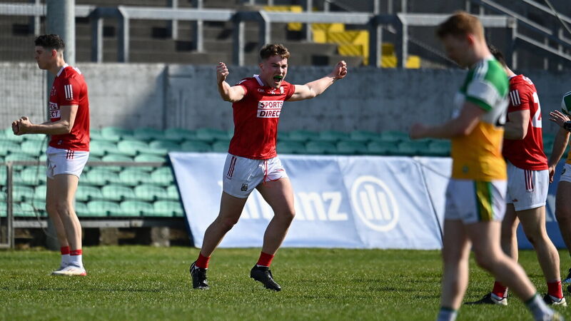 Cork keep their nerve to ensure survival after epic relegation decider in Offaly