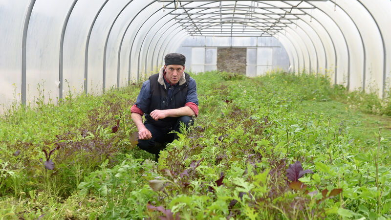 Cork vegetable farmer: There is a legacy here we want to protect Cork vegetable farmer: There is a legacy here we want to protect