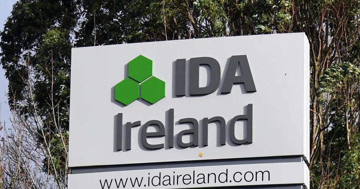 'This is great news for Cork': Leading file data services provider to open new innovation centre in Cork - Vimarsana News