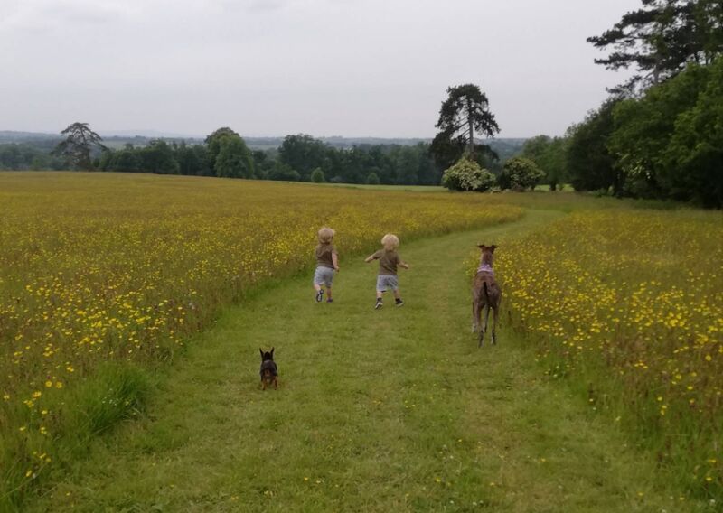 Out for a family stroll.