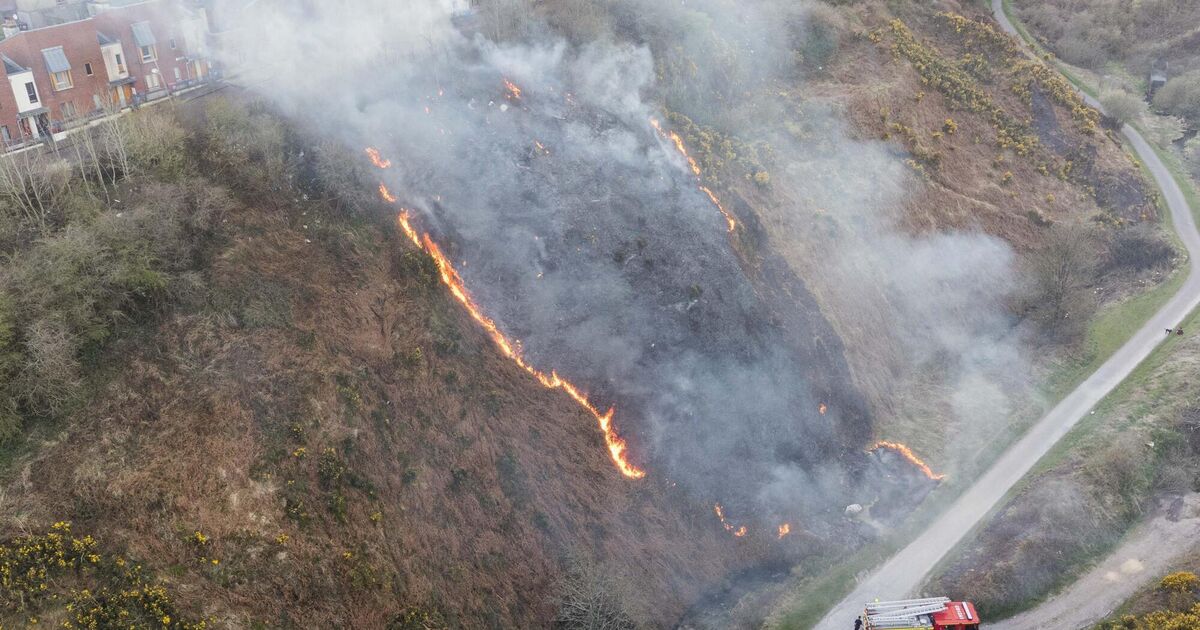 Cork City Fire Brigade tackle gorse fire on northside of city