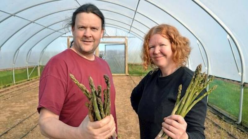 Growing veg of a really high standard... and helping nature as we go Growing veg of a really high standard... and helping nature as we go