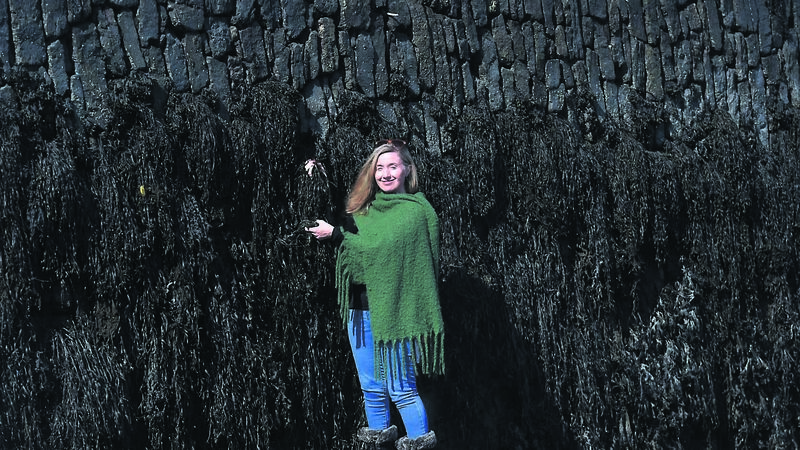Cork woman: How I became an accidental tour guide Cork woman: How I became an accidental tour guide