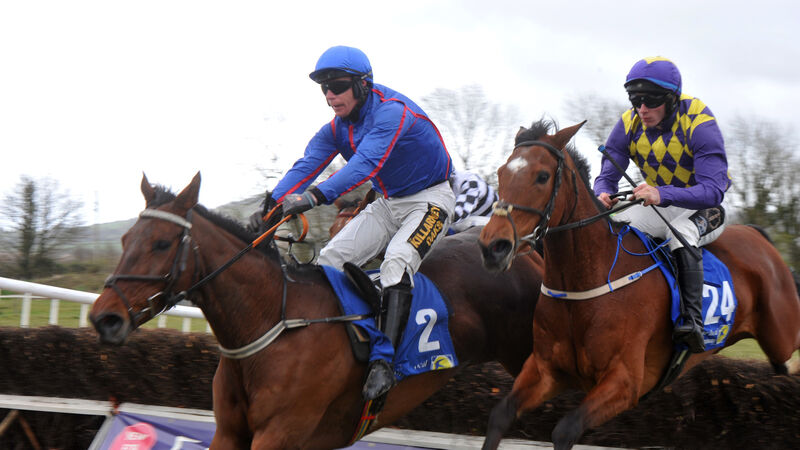 Mikey O'Connor is the star at the Duhallow Foxhounds Point to Point meeting with two winners Mikey O'Connor is the star at the Duhallow Foxhounds Point to Point meeting with two winners
