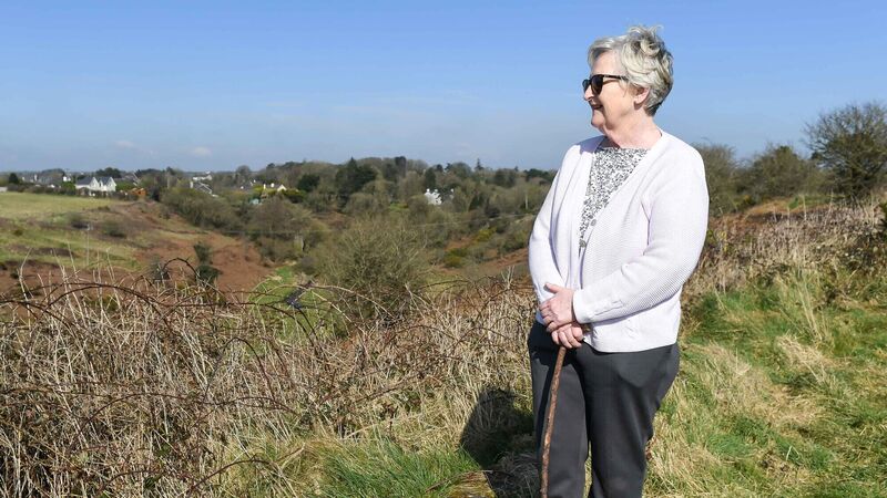 ‘We cannot afford to lose this’: Group seeks to protect Cork city's last wilderness ‘We cannot afford to lose this’: Group seeks to protect Cork city's last wilderness
