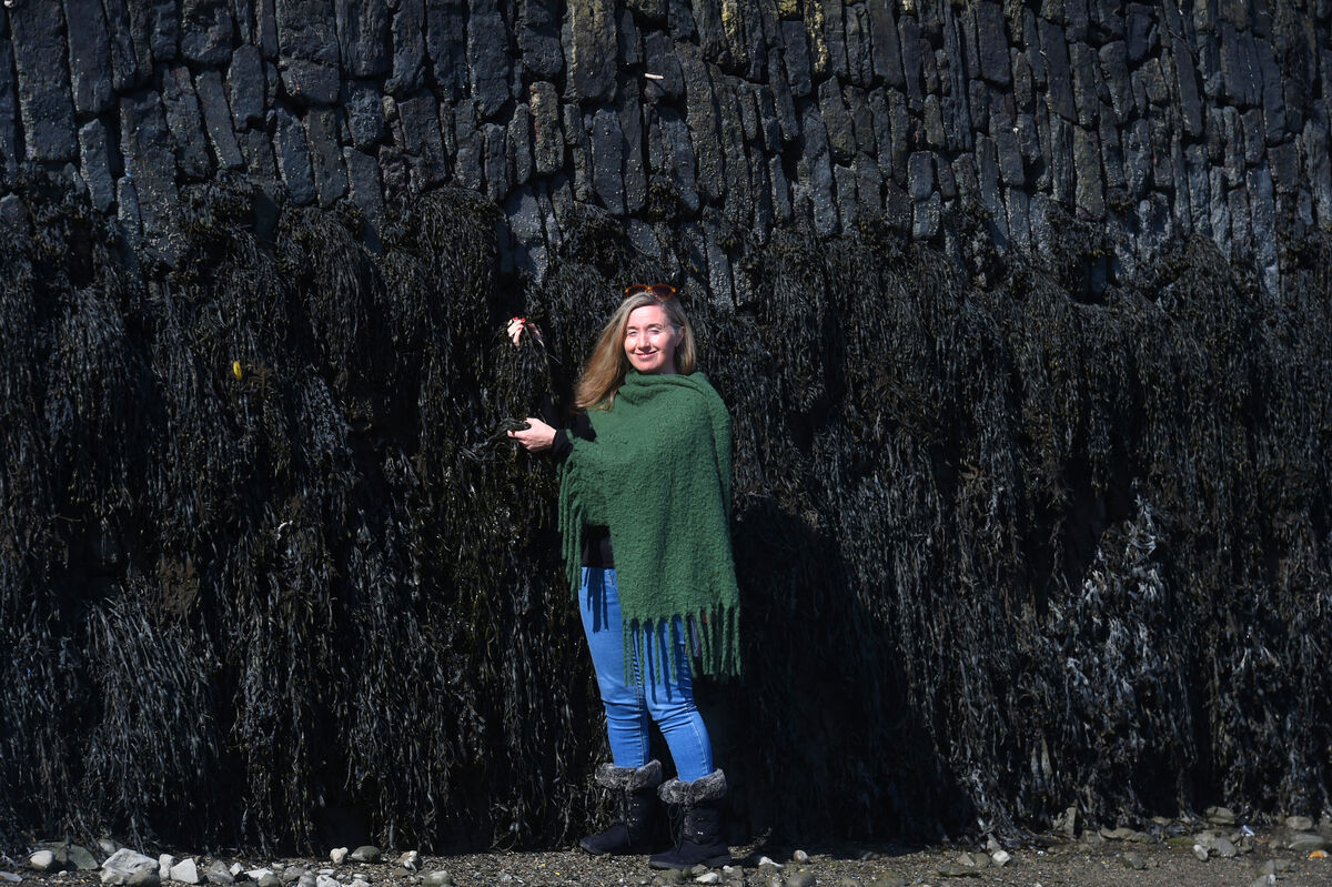  Suzanne Burns, founder and lead guide at Kinsale Food Tours checks the health of seaweed at Kinsale , Co Cork on Sunday. Picture: Larry Cummins.
