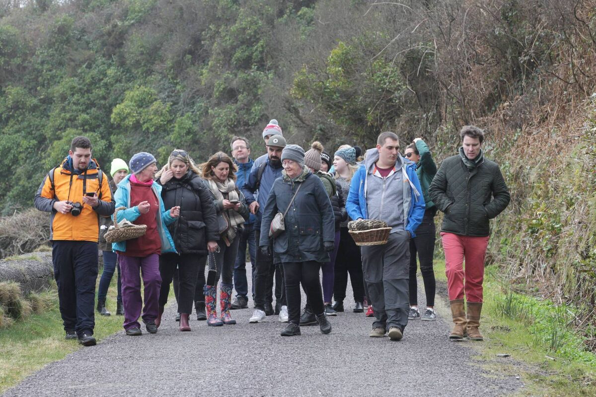 People enjoying the foraging weekend at Rosscarbery.