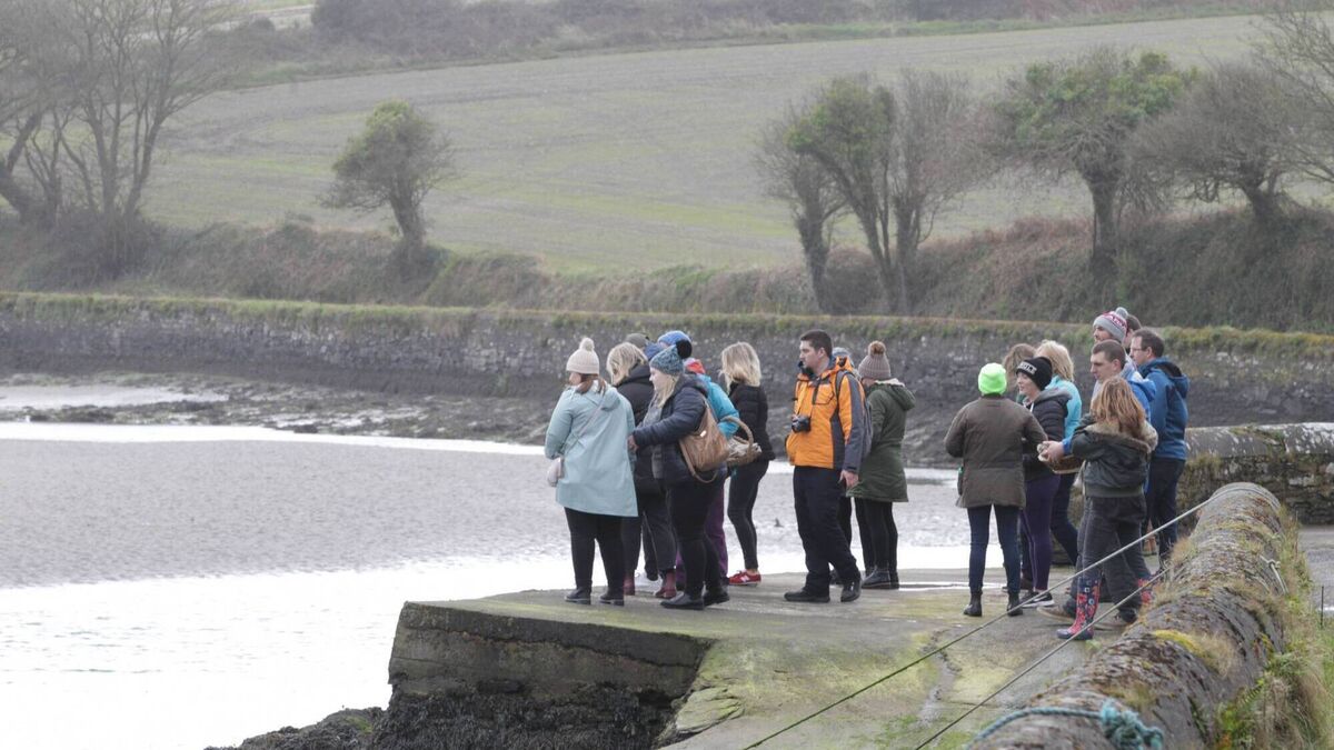 Guided foraging walks, trails, workshops and tours in Cork