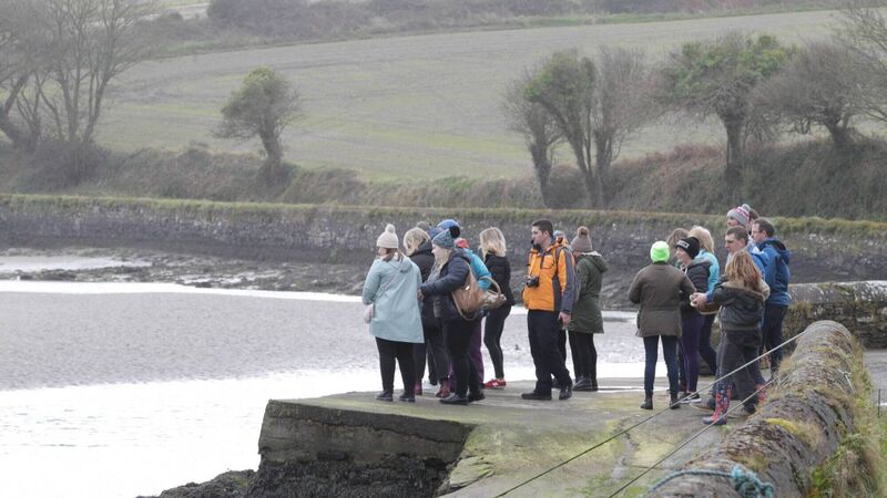 Guided foraging walks, trails, workshops and tours in Cork