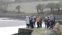 Guided foraging walks, trails, workshops and tours in Cork