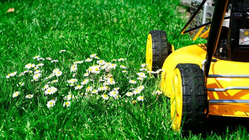 Back cutting the grass? Hold onto the clippings... Back cutting the grass? Hold onto the clippings...