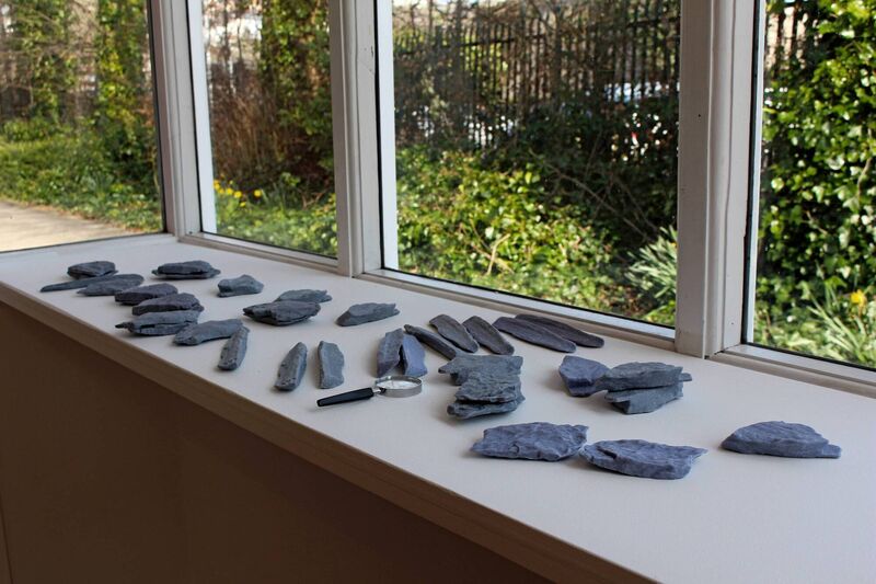 Beth Jones Resin's 3D printed leaf fossils and petrified wood from Longyearbreen Glacier.