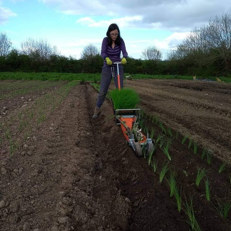 A lot of the work at the farm in Ballinhassig is done by hand. A lot of the work at the farm in Ballinhassig is done by hand.