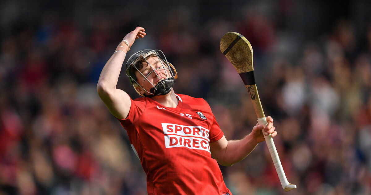 Cork v Limerick Player ratings from the Munster hurling championship