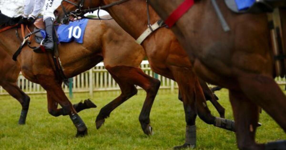Irish Grand National: Lord Lariat springs 40-1 shock win - Vimarsana News