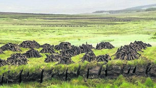 <p class="contextmenu internal_Caption">FOR PEAT’S SAKE: We need to wean people off peat as a source of heating, says Kathriona Devereux</p>