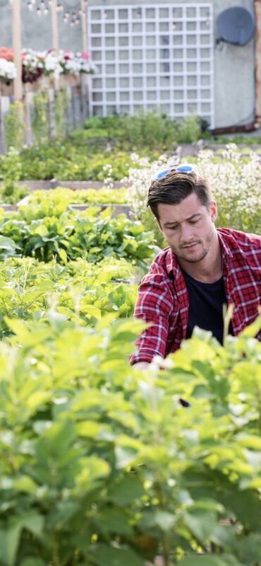 Brian McCarthy at the Cork Rooftop Farm.