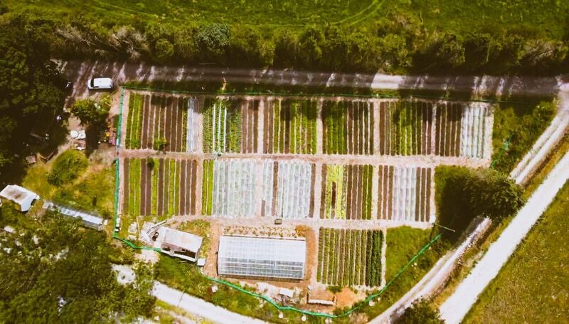 Cork Rooftop Farm run a market garden in Laharn, pictured above.