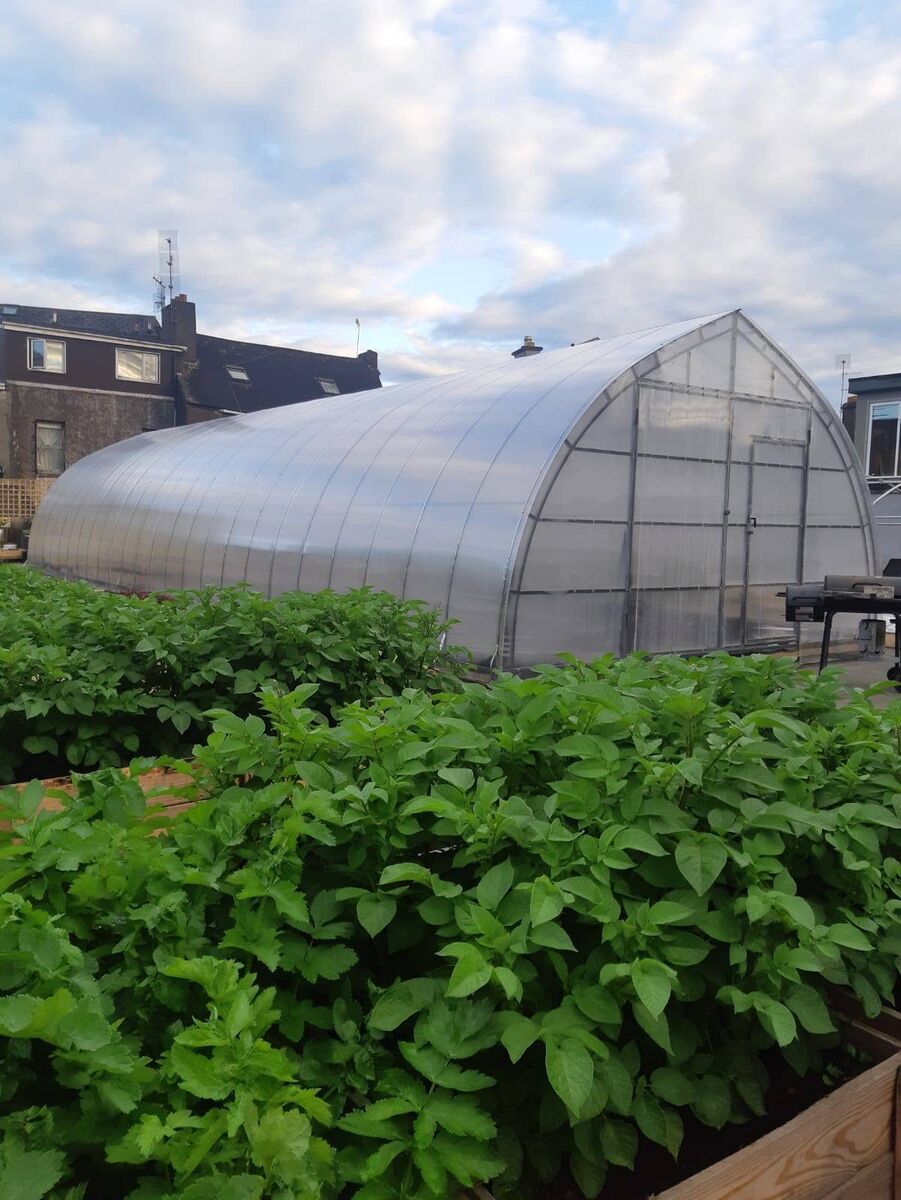 Cork Rooftop Farm Cork Rooftop Farm