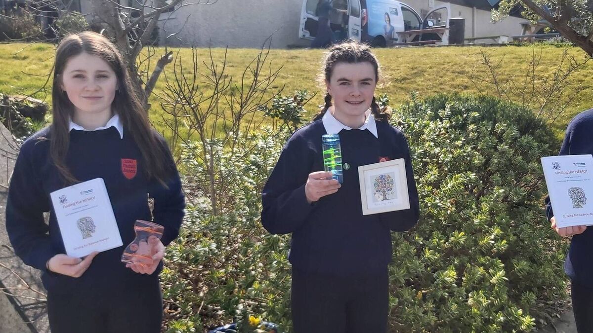 Cork students awarded for anxiety awareness projects