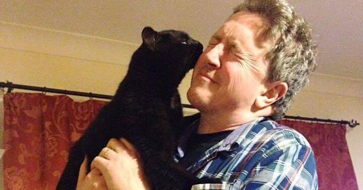 My cat loves his hugs at 3am - Vimarsana News