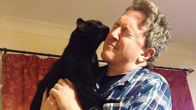My cat loves his hugs at 3am My cat loves his hugs at 3am