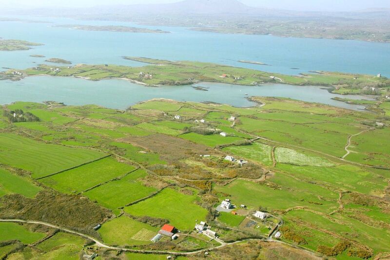 Brown Envelope Seeds is based on Turk Head in West Cork Brown Envelope Seeds is based on Turk Head in West Cork