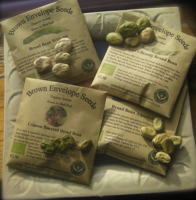 A selection of broad bean varieties from Brown Envelope Seeds. A selection of broad bean varieties from Brown Envelope Seeds.