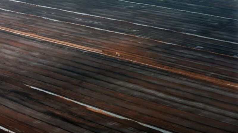 Government will not walk away from difficult decisions on turf, says Ryan