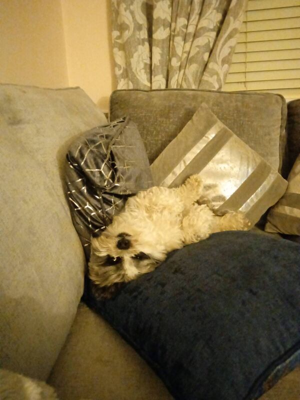 Making himself comfortable. Making himself comfortable.