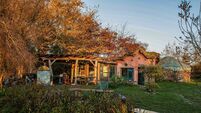 Our yurt life turned into an eco glamping business in East Cork