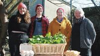 A new community market for coastal Cork village