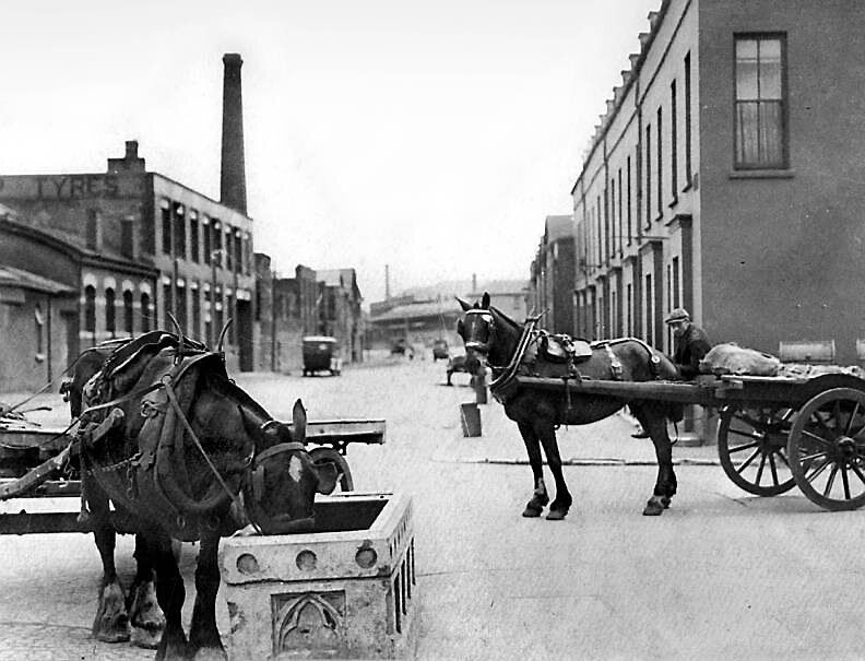  a horse drinking from a trough in Cork city in the 1920s.