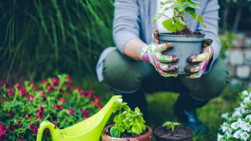 It's a great time to take stock of your garden It's a great time to take stock of your garden